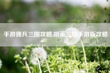 手游佣兵三国攻略,胡莱三国手游版攻略