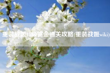 重装战姬15级赏金通关攻略(重装战姬wiki)