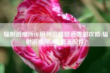 辐射避难所OL麻州公路隧道地图攻略(辐射避难所ol蟑螂王配件)