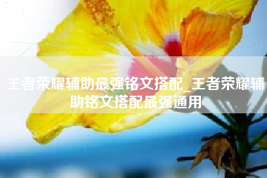 王者荣耀辅助最强铭文搭配_王者荣耀辅助铭文搭配最强通用