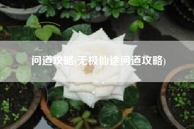 问道攻略(无极仙途问道攻略)