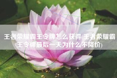 王者荣耀霸王令牌怎么获得(王者荣耀霸王令牌最后一天为什么不降价)
