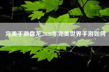 完美手游盘龙,2020年完美世界手游如何