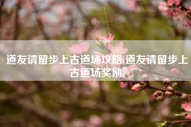 道友请留步上古道场攻略(道友请留步上古道场奖励)