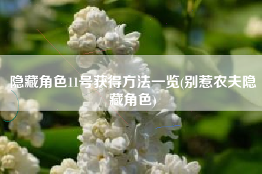 隐藏角色11号获得方法一览(别惹农夫隐藏角色)
