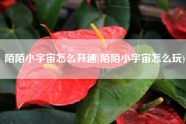 陌陌小宇宙怎么开通(陌陌小宇宙怎么玩)