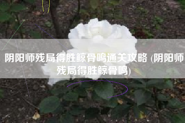 阴阳师残局得胜鲸骨鸣通关攻略 (阴阳师残局得胜鲸骨鸣)