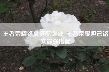 王者荣耀铭文搭配突破_王者荣耀妲己铭文最强搭配