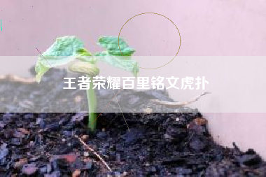 王者荣耀百里铭文虎扑