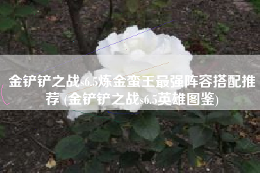 金铲铲之战s6.5炼金蛮王最强阵容搭配推荐 (金铲铲之战s6.5英雄图鉴)