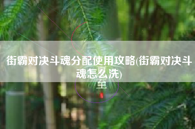 街霸对决斗魂分配使用攻略(街霸对决斗魂怎么洗)