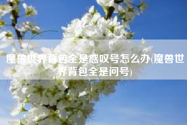 魔兽世界背包全是感叹号怎么办(魔兽世界背包全是问号)