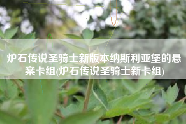 炉石传说圣骑士新版本纳斯利亚堡的悬案卡组(炉石传说圣骑士新卡组)