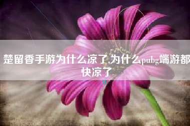 楚留香手游为什么凉了,为什么pubg端游都快凉了