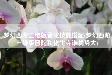 梦幻西游三维版普陀技能搭配(梦幻西游三维版普陀和化生寺谁优势大)