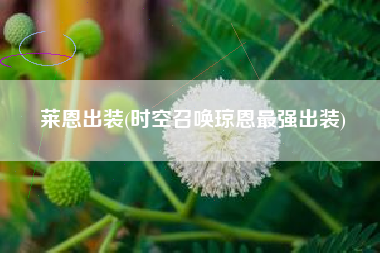 莱恩出装(时空召唤琼恩最强出装)