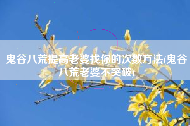 鬼谷八荒提高老婆找你的次数方法(鬼谷八荒老婆不突破)
