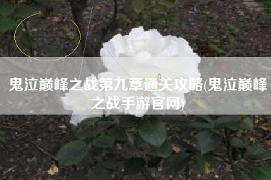 鬼泣巅峰之战第九章通关攻略(鬼泣巅峰之战手游官网)