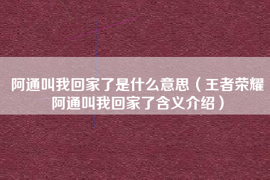 阿通叫我回家了是什么意思（王者荣耀阿通叫我回家了含义介绍）