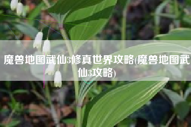 魔兽地图武仙3修真世界攻略(魔兽地图武仙3攻略)