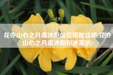 花亦山心之月虞沐阳站位搭配攻略(花亦山心之月虞沐阳和沐英岚)