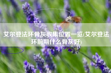 艾尔登法环骨灰收集位置一览(艾尔登法环前期什么骨灰好)