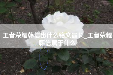 王者荣耀韩信出什么铭文最长_王者荣耀韩信属于什么