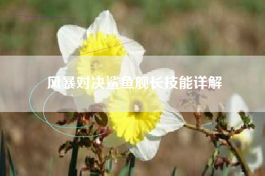 风暴对决鲨鱼舰长技能详解