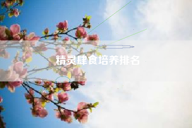 精灵肆食培养排名