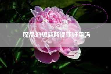 魔晶幻想赫斯提亚好用吗