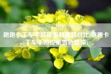 跑跑卡丁车手游皮蛋和黑妞对比(跑跑卡丁车手游皮蛋雪色喷漆)