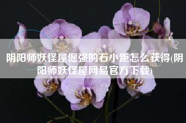 阴阳师妖怪屋倔强的石小距怎么获得(阴阳师妖怪屋网易官方下载)