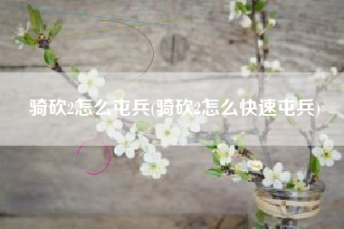 骑砍2怎么屯兵(骑砍2怎么快速屯兵)