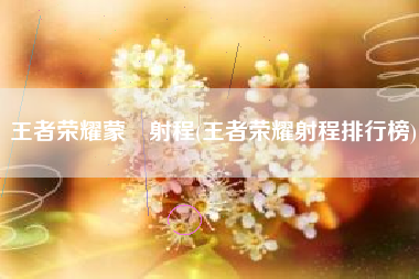 王者荣耀蒙犽射程(王者荣耀射程排行榜)