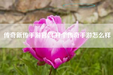 传奇新传手游官网,开个传奇手游怎么样