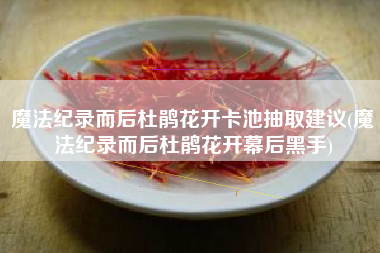 魔法纪录而后杜鹃花开卡池抽取建议(魔法纪录而后杜鹃花开幕后黑手)