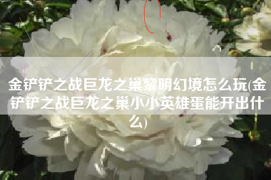 金铲铲之战巨龙之巢黎明幻境怎么玩(金铲铲之战巨龙之巢小小英雄蛋能开出什么)