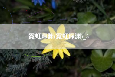 霓虹深渊(霓虹深渊)_5