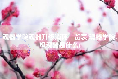 魂器学院魂器升级消耗一览表(魂器学院s级魂器是什么)