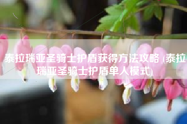 泰拉瑞亚圣骑士护盾获得方法攻略 (泰拉瑞亚圣骑士护盾单人模式)