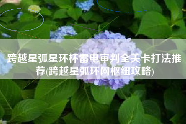 跨越星弧星环杯雷电审判全关卡打法推荐(跨越星弧环网枢纽攻略)