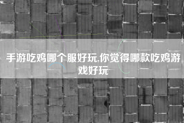 手游吃鸡哪个服好玩,你觉得哪款吃鸡游戏好玩