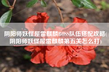 阴阳师妖怪屋雷麒麟BOSS队伍搭配攻略(阴阳师妖怪屋雷麒麟第五关怎么打)