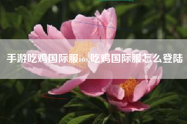 手游吃鸡国际服ios,吃鸡国际服怎么登陆