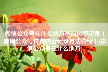 微信公众号在什么地方查询付费记录（查询公众号付费内容记录方法介绍）(微信公众号在什么地方)