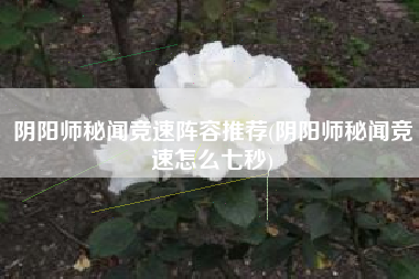 阴阳师秘闻竞速阵容推荐(阴阳师秘闻竞速怎么七秒)