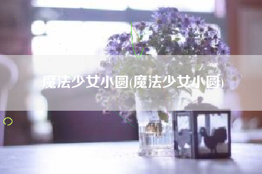 魔法少女小圆(魔法少女小圆)