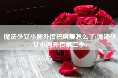 魔法少女小圆外传巴麻美怎么了(魔法少女小圆外传第二季)