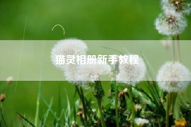 猫灵相册新手教程