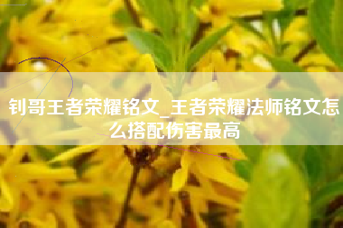 钊哥王者荣耀铭文_王者荣耀法师铭文怎么搭配伤害最高